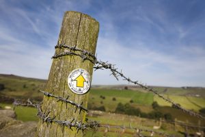 haworth moor rooute to top withens 4 sm.jpg